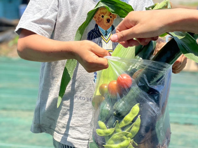 �Ăɂ́A�Ė�؋l�ߕ��������Ă܂��I_ABC FARM