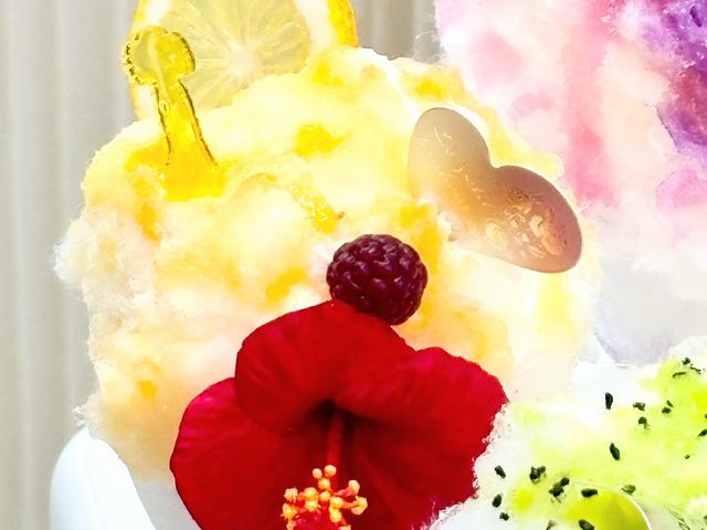 �����X�ƃn�C�r�X�J�X�u���@���k�l��i_fake garden himeji