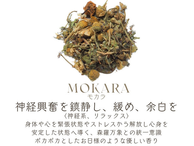 �]���&��������� nicotto