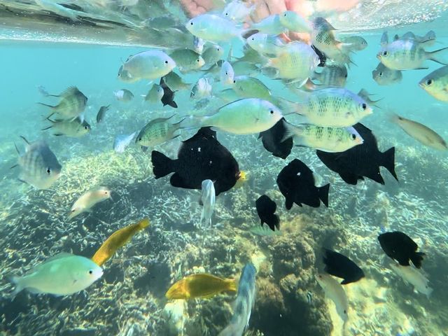 �^���ǂ�����Y��Ȃ��������ɂ���邩���I_N.Ocean