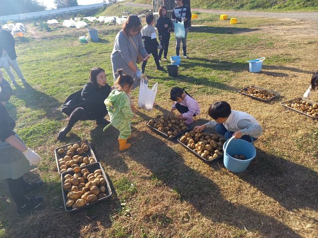 �����Ȃ��_��