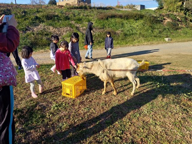 �����Ȃ��_��