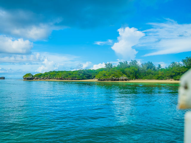 �C�M�}����