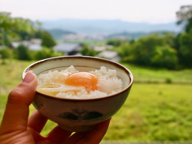 ���܂ǐ������������ё̌�_���������܂��_�� -�|�j�[����M��j���g���Ƃӂꂠ����R�̂��܂�������̃X�C�[�c�X-