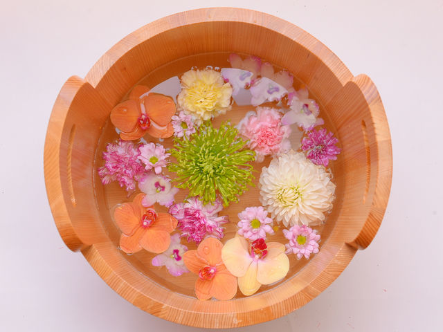 �v�킸�ʐ^���B�肽���Ȃ�؂₩���B
���s�炵���g�a���킢���h�̌����B_���� �_���ʓ@
