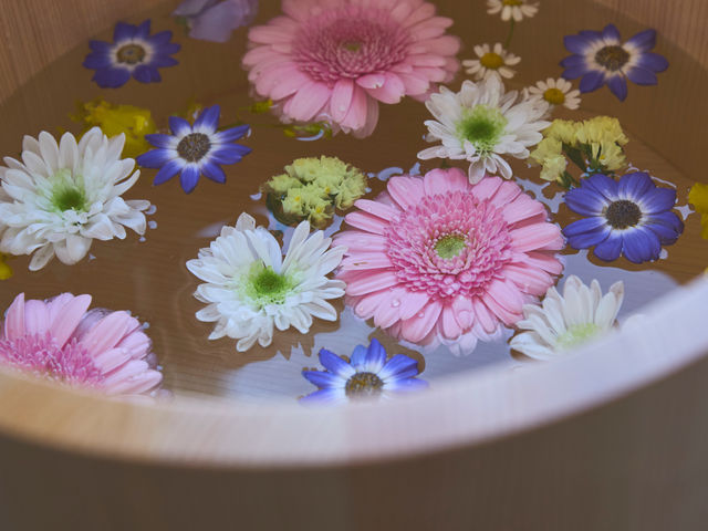 ���� �_���ʓ@�̎ʐ^1