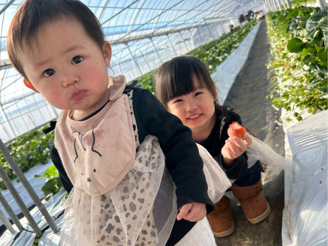 �q���̖ڐ�������H�ׂ₷��(^-^)_TACOJIMA FARM