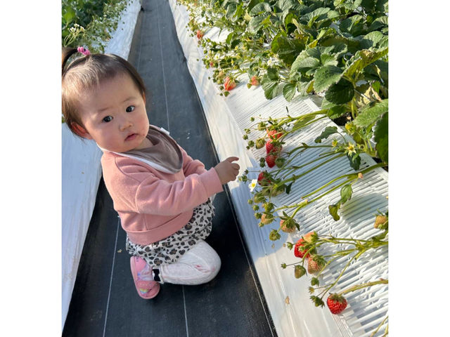 �����őI�ׂ����(^-^)_TACOJIMA FARM