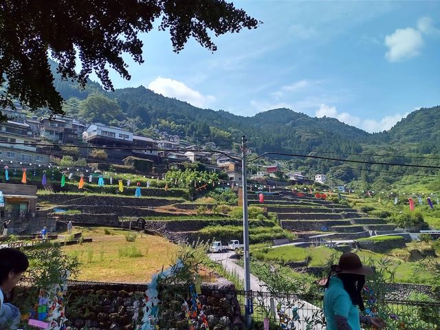 ���҂̒I�c_�m���u���[�c�A�[�������