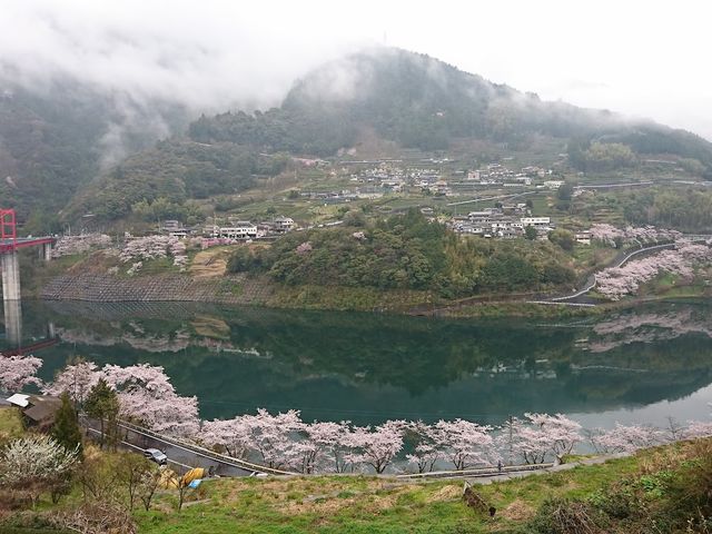 ��n�_���̍�����_�m���u���[�c�A�[�������