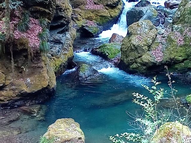 ���Ð쌹��_�m���u���[�c�A�[�������