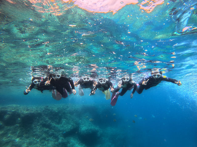 marine service TINGALA