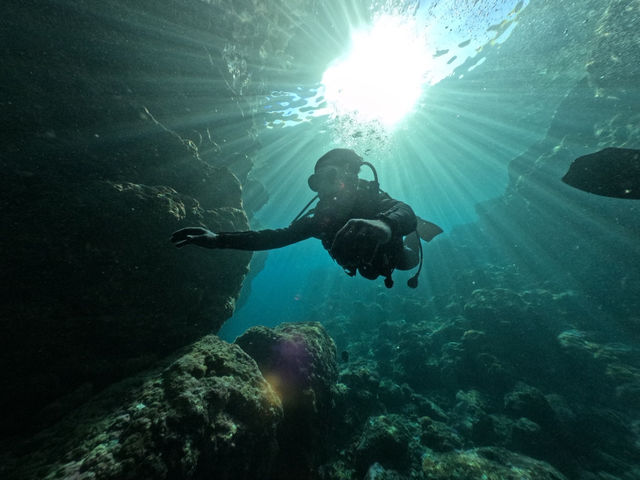 marine service TINGALA