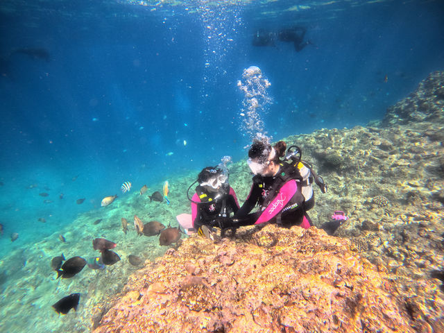 marine service TINGALA