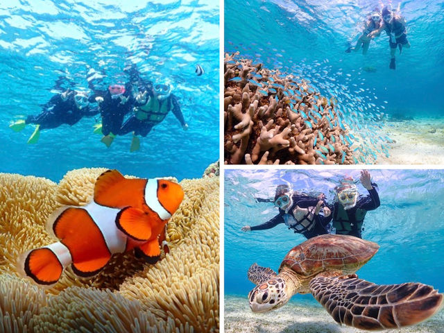 �E�~�K�������т����ڂꂿ����ăq���łӂ��Ă��郌�A�ȃV�[���I�I_�{�Ó��}�����V���b�vSmiley