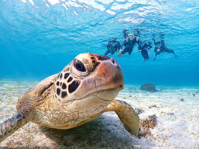 ����Ȃɋ߂��ŃE�~�K���ƈꏏ�ɉj�����Ⴄ�I�I_�{�Ó��}�����V���b�vSmiley