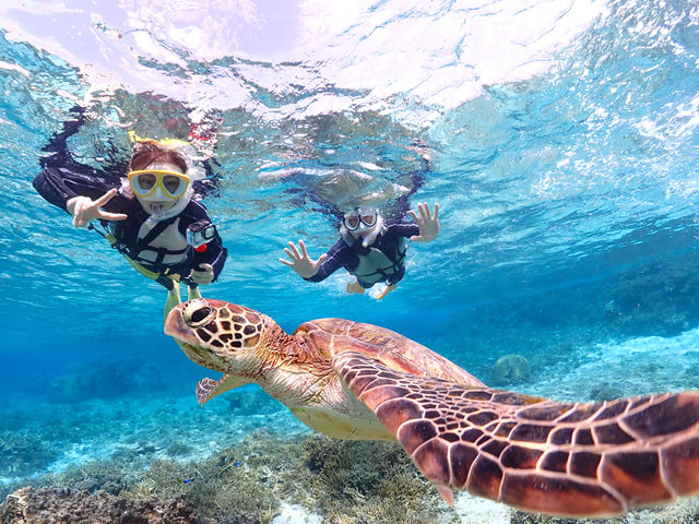 �����C�̒��ɍ������ނƂ���Ȃɂ��Y��I�I_�{�Ó��}�����V���b�vSmiley