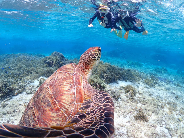 �E�~�K���Ɩڂ�������������I��������A�A�A�I�I_�{�Ó��}�����V���b�vSmiley