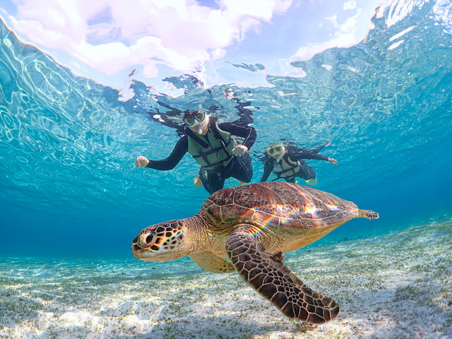 �����������񂾃A�I�E�~�K���Ƃ̃c�[�V���b�g�I�I_�{�Ó��}�����V���b�vSmiley