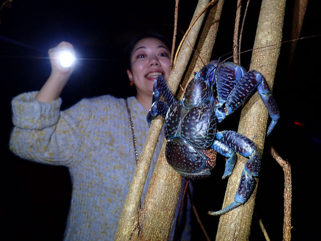 ��̉������V�K�j�Ƃ̉^���I�ȏo��I�I_�{�Ó��}�����V���b�vSmiley