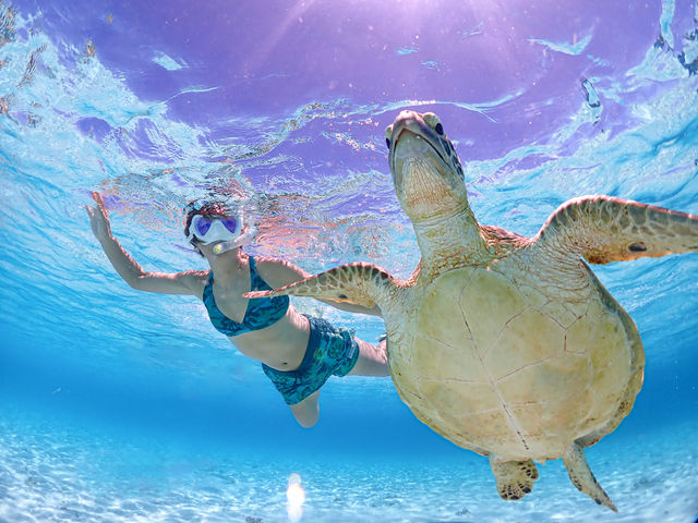 �߂��Ⴍ����傫���������߂����I����L������킩��傫���I�I_�{�Ó��}�����V���b�vSmiley