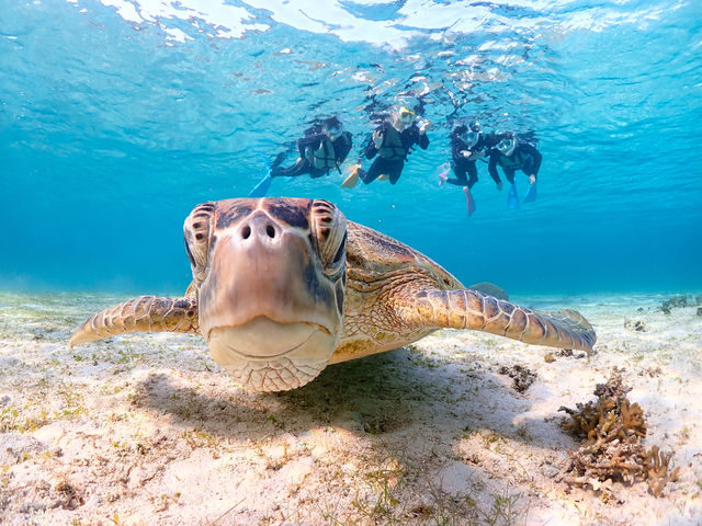 �����x����������{�Ó��̊C�I�I_�{�Ó��}�����V���b�vSmiley