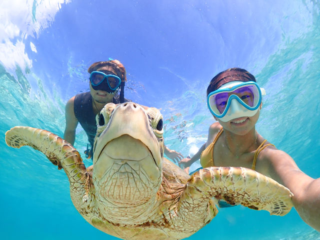 �G�ɏ������悤�Ȏʐ^���B�ꂿ�Ⴂ�܂��I�I�ō��̎v���o���`�Ɏc���܂��傤�I_�{�Ó��}�����V���b�vSmiley