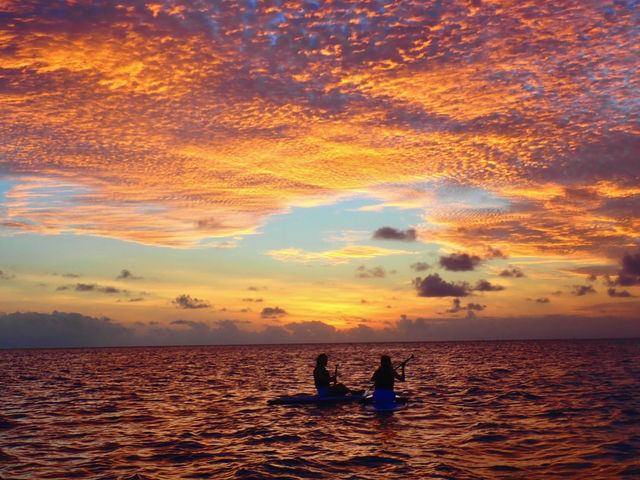 ���Ă��̋��SUP�͍ō��̑g�ݍ��킹�I�I_�{�Ó��}�����V���b�vSmiley