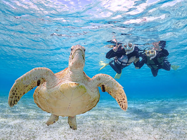 �E�~�K���̂�����������I�I_�{�Ó��}�����V���b�vSmiley