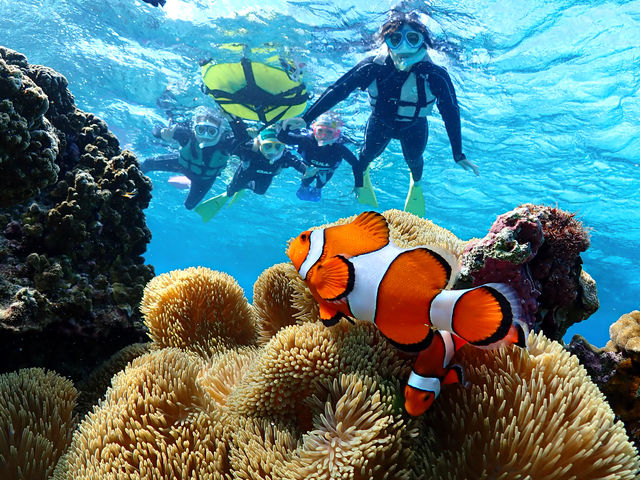 �j���Ƃ��c�[�V���b�g�B����I�I�I_�{�Ó��}�����V���b�vSmiley