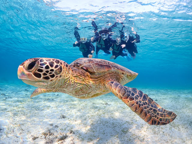 �E�~�K��������100%�p�����I
�c�A�[����Ȃ�Smiley�ŁI�I_�{�Ó��}�����V���b�vSmiley