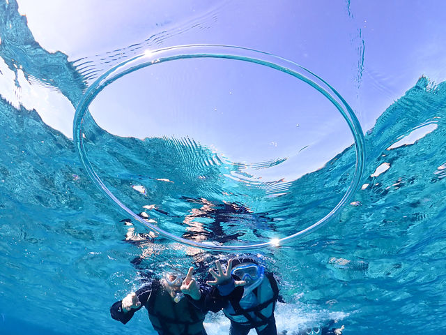 �K�C�h���J��o���o�u�������O�I�I_�{�Ó��}�����V���b�vSmiley