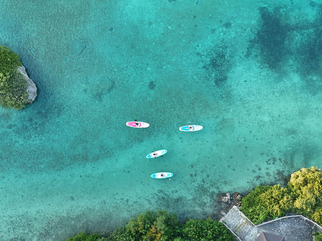 SUP�̓h���[�����f�����I�I_�{�Ó��}�����V���b�vSmiley