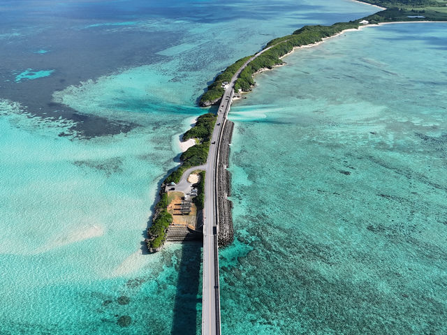 ���V�c�A�[�ł͓��{�Ƃ͎v���Ȃ��悤�ȍō��̏ꏊ�ւ��ē��I�I_�{�Ó��}�����V���b�vSmiley