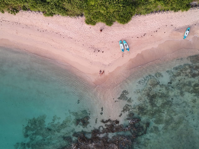 �Y��ŃT���T���ȍ��n�ŎB�e���悤�I�I_�{�Ó��}�����V���b�vSmiley