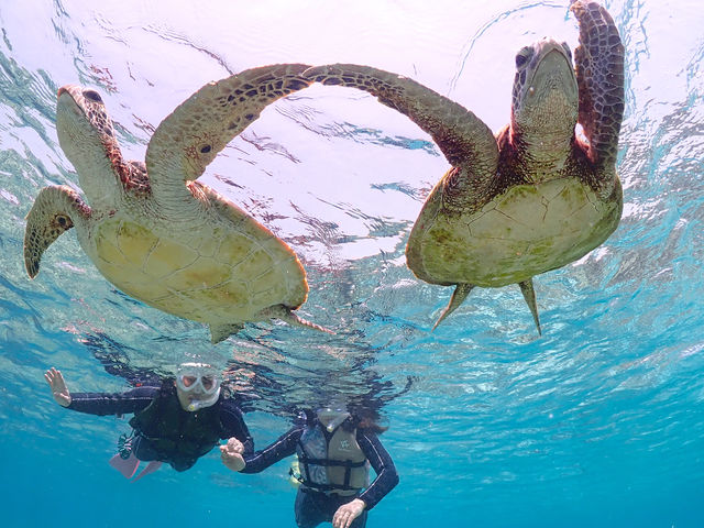 �����C�̒��ɍ������ނƂ���Ȃɂ��Y��I�I_�{�Ó��}�����V���b�vSmiley