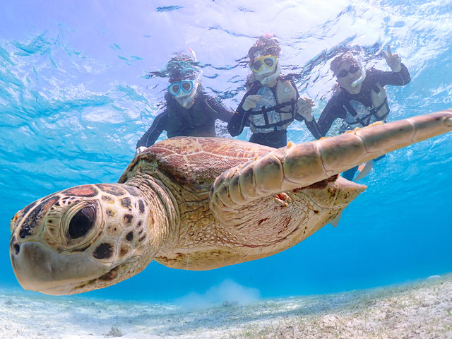 �E�~�K���Ɩڂ�������������I��������A�A�A�I�I_�{�Ó��}�����V���b�vSmiley