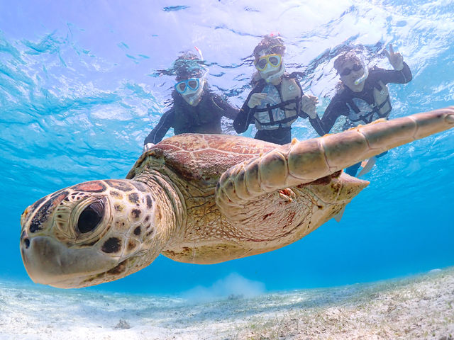 �E�~�K���ƍō��̎ʐ^���B�낤�I�I_�{�Ó��}�����V���b�vSmiley