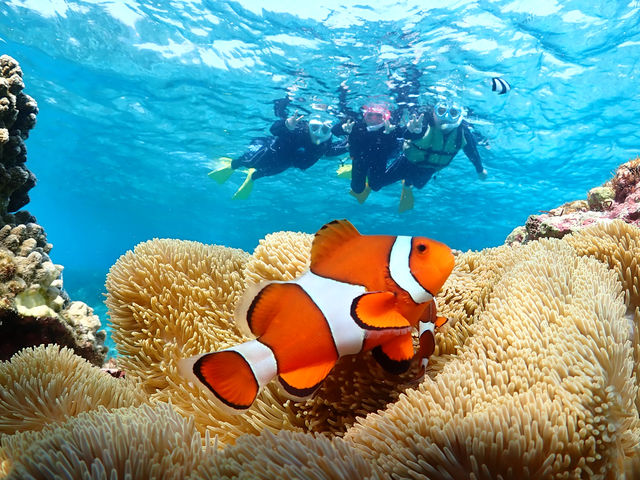 �v�[���̂悤�ȃL���L�������C�I�I�f��̃��f���Ƃ��B�e�I�I_�{�Ó��}�����V���b�vSmiley