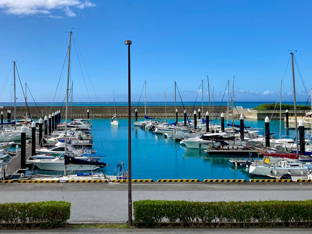 �����t�B�b�V�����[�i�͂ƂĂ��̂ǂ��ȃ}���[�i�ł��B�@�� ���`���郈�b�g���g�p��(Thetis��)�ł��B_���ꃈ�b�g�̌��Z�[�����O