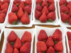 Aikawa Strawberry House̎ʐ^1