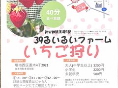 39 邢邢t@[̎ʐ^1