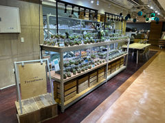 Terrariums gGyX̎ʐ^1