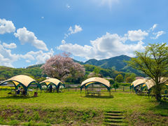 LOCAL BBQ �ɐ����̎ʐ^1