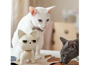 ���Ⴀ�ނ̔L�����̎ʐ^3