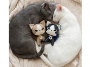 ���Ⴀ�ނ̔L�����̎ʐ^4