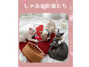 ���Ⴀ�ނ̔L�����̎ʐ^2