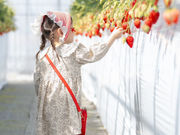 Twins Farm �^�����������̎ʐ^2