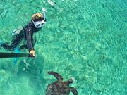 SҐ{ÓVm[POcA[̎ʐ^3