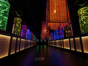 A[gANAEp GINZA̎ʐ^3